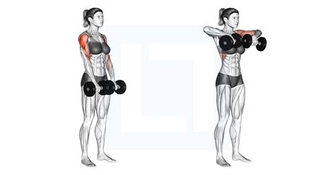 Dumbbell Upright Row - Guide, Benefits, and Form