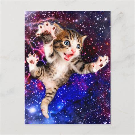 Cat jumping - cute cats - crazy cat postcard | Zazzle