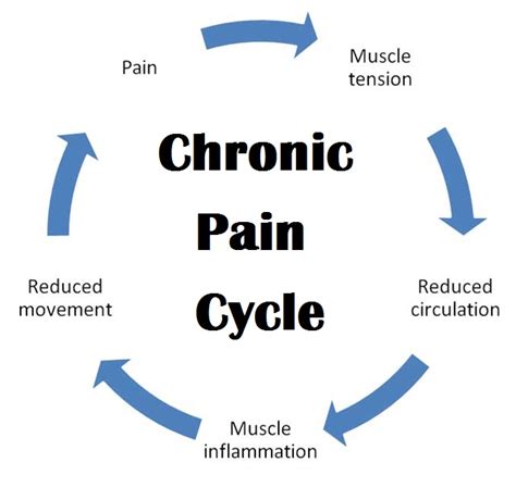 Chronic pain cycle - Yeronga Chiropractic and Wellness Centre