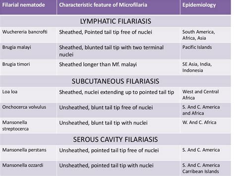 Filarial worms dr. rs 28 08-2017