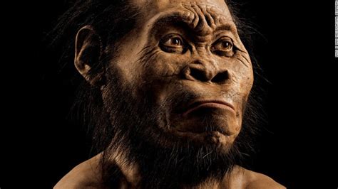 Homo Naledi: The Evolutionist Scenario