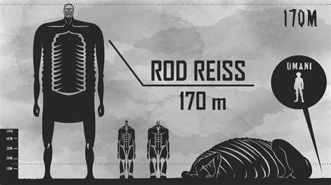 Rod Reiss Titan Size Rod reiss roddo reisu often publicly referred to ...