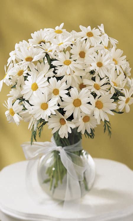 Daisy Vase