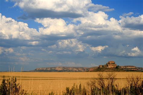 Veld Landscape Free Stock Photo - Public Domain Pictures