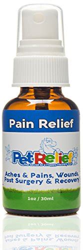 6 Best Dog Pain Relief Aids of 2020 (Dog Pain Reliever Buying Guide)