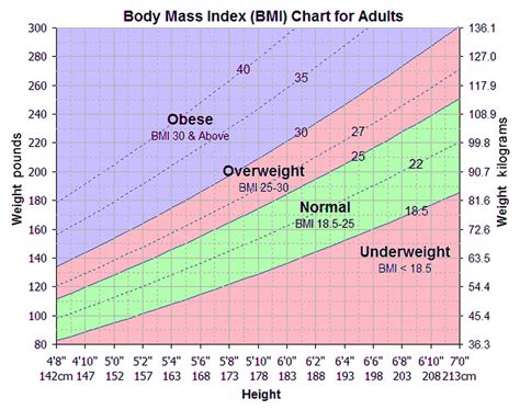 What Is Obesity - Causes, Statistics, Facts, Effects & Treatments