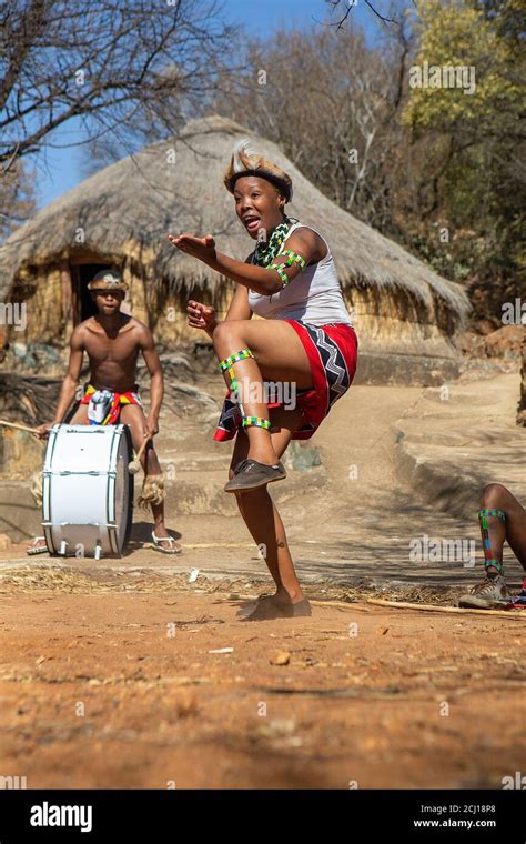 Zulu dancers in traditional costume, dancing the Ingoma warrior dance ...