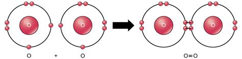 Chemical Reactions and Molecules | Biology for Majors I