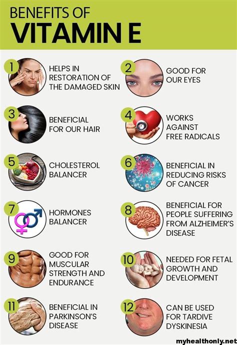 10 Useful Health Benefits of Vitamin E, You must to know - My Health Only