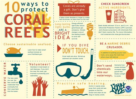 The Importance of Coral Reefs and Ways we can Protect Them ...