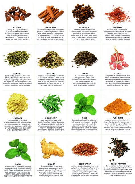 Healing Properties of Herbs - Infographics