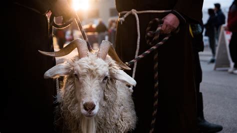 Bockfest beer festival is Cincinnati's ultimate survivor