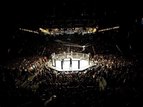 UFC Cage, ufc octagon HD wallpaper | Pxfuel