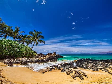 Maui Hawaii Makena Cove Beach (Secret Beach) Wallpaper - Free Download ...