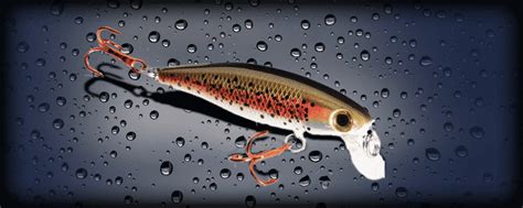 Top 5 Best Pike Fishing Lures Reviews & Buyer's Guide - Fishing Form