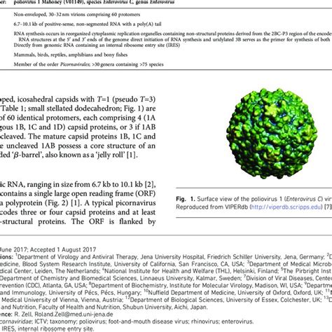 (PDF) ICTV Virus Taxonomy Profile: Picornaviridae