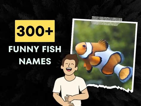 300+ Funny Fish Names (Curated And Ranked) + Generator