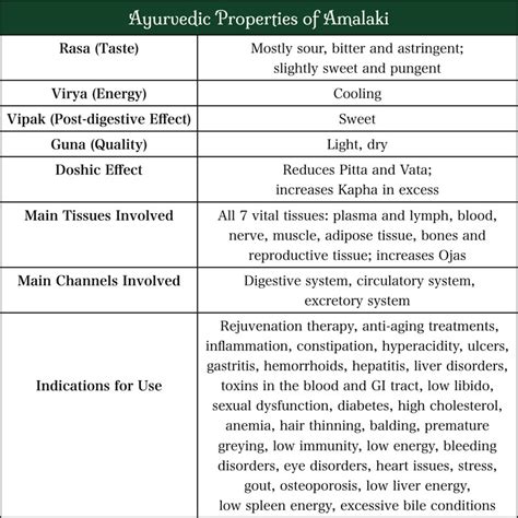 The Health Benefits and Uses of Amalaki - Svastha Ayurveda