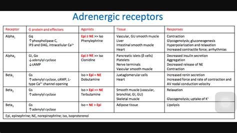 Pin by Amanda Stone-Stewart on nursing | Adrenergic receptors ...