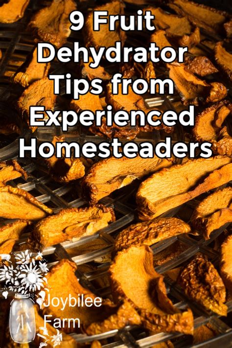 9 Fruit Dehydrator Tips from Experienced Homesteaders