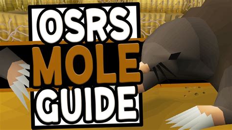 Giant mole guide osrs