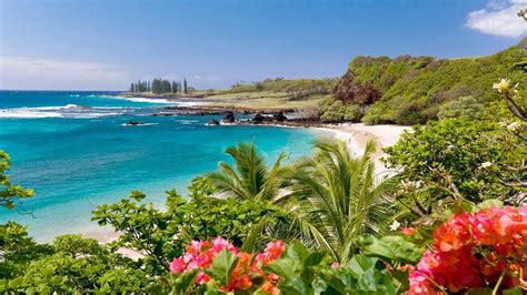 Hawaii Wallpapers - Top Free Hawaii Backgrounds - WallpaperAccess