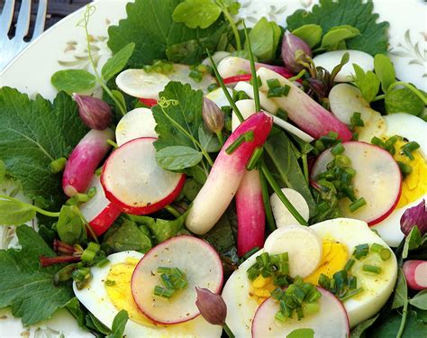 Organic Turnip Salad with Summer Savory Dressing