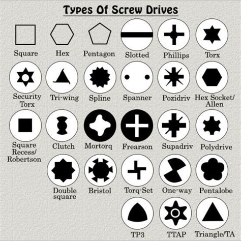 A visual guide on different types of screw heads and drives