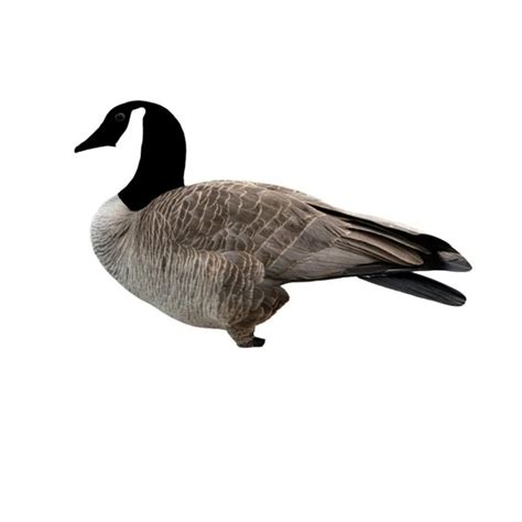 Canada Goose Silhouette Hunting Decoys From Xilei - Buy Goose Hunting ...