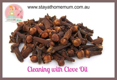 Cleaning with Clove Oil | Stay at Home Mum | Medical medium, Healing ...