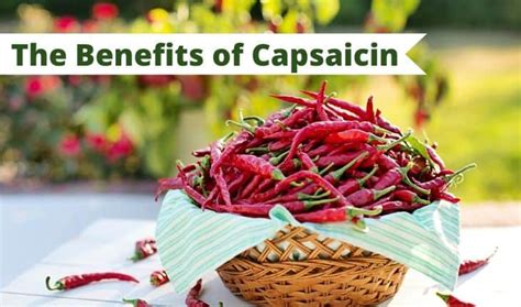 The 7 Health Benefits of Capsaicin: More Than Just Spicy Foods