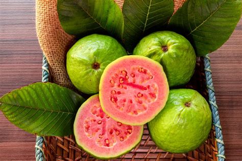 Simak, 5 Tips agar Pohon Jambu Biji Rajin Berbuah