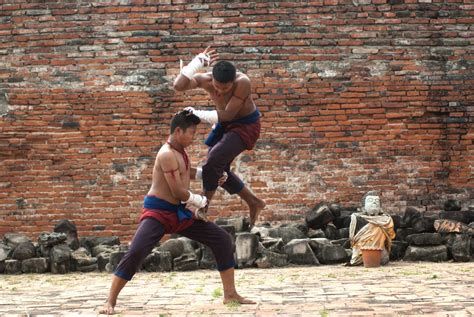 6 Deadly Elbows of Muay Thai - Fiji Muay Thai | Muay boran, Muay thai ...