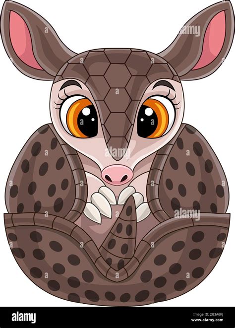 Cartoon cute baby armadillo rolled up Stock Vector Image & Art - Alamy