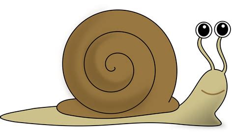 Free Snail Clipart Pictures - Clipartix