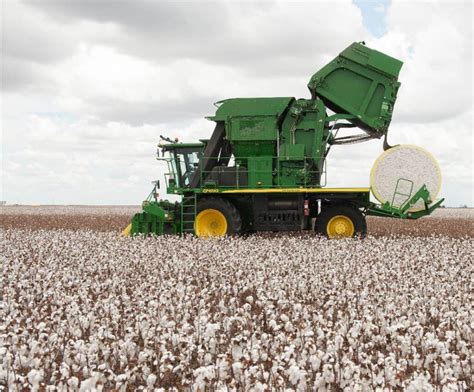 Cotton Harvesting Methods and Cotton Ginning Procedures | CottonWorks™