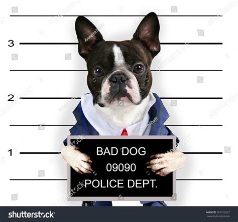 40 Prison Pals Images, Stock Photos & Vectors | Shutterstock