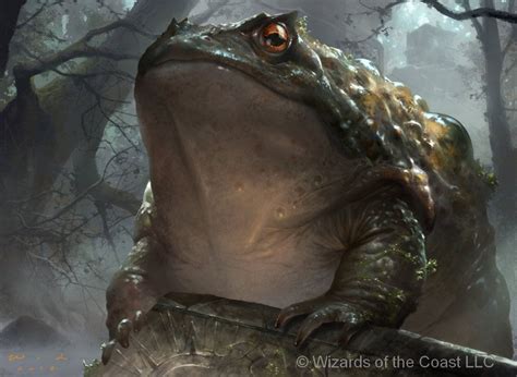 Magic The Gathering Guardian Toad by JackWangLei on DeviantArt | Magic ...