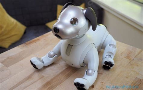 Sony aibo Review (2018): Robot pup charm - SlashGear