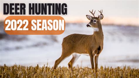 Deer Hunting | 2022 Season - YouTube