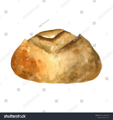 Watercolor Fresh Bread Loaf Clipart Element Stock Illustration ...