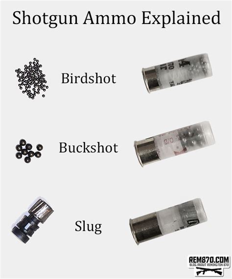 Shotgun Ammunition Explained - what is Slug?