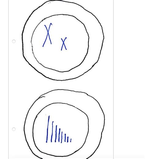 Solved Part A - Gamete Cell Select the cell diagram below | Chegg.com