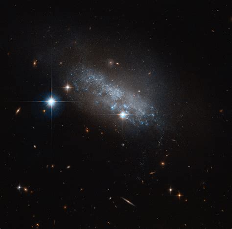 Hubble Image of the Week - Irregular Galaxy IC 3583