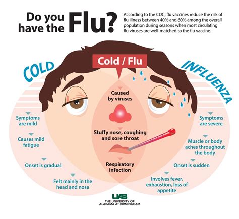 Visual : Do you have the Flu? - Infographic.tv - Number one ...