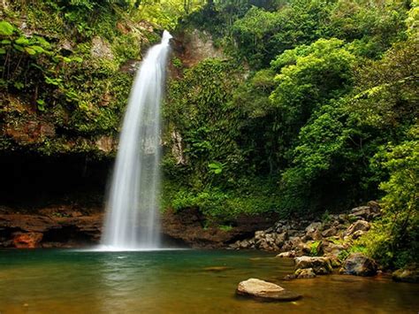 10 magnificent waterfalls in Fiji worthy of a hike - International ...