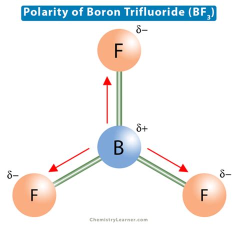 Boron Trifluoride (BF3) Polarity