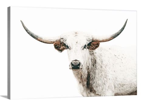 Longhorn art print or longhorn canvas print. Western decor cow | Etsy ...