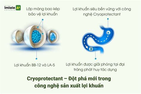 Công nghệ bao kép Cryoprotectant – Đột phá mới trong công nghệ sản xuất ...