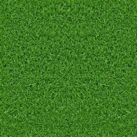 Free photo: Grass Texture - Grass, Green, Gritty - Free Download - Jooinn